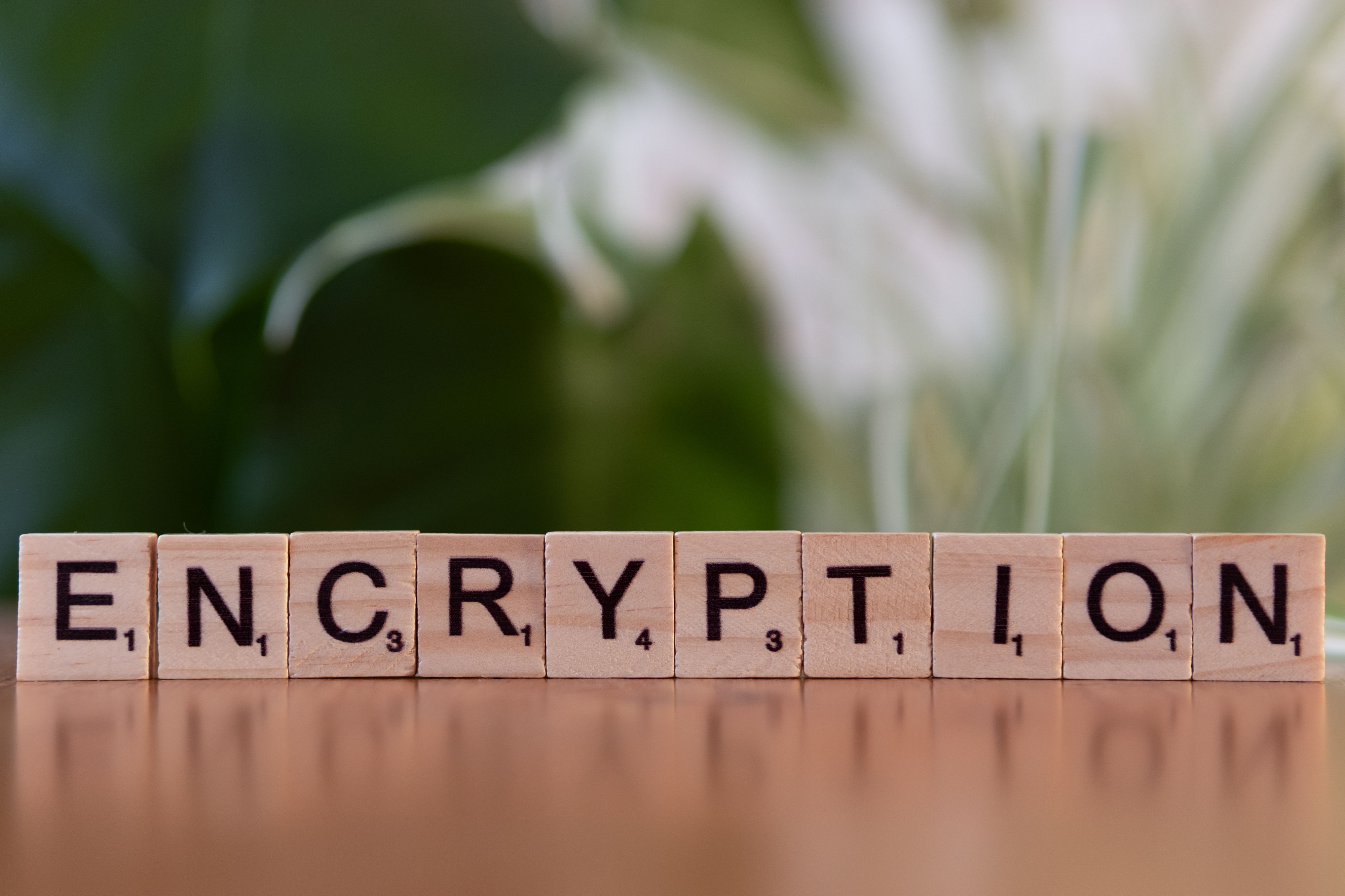 Close-up of wooden blocks spelling encryption, symbolizing data security and digital protection