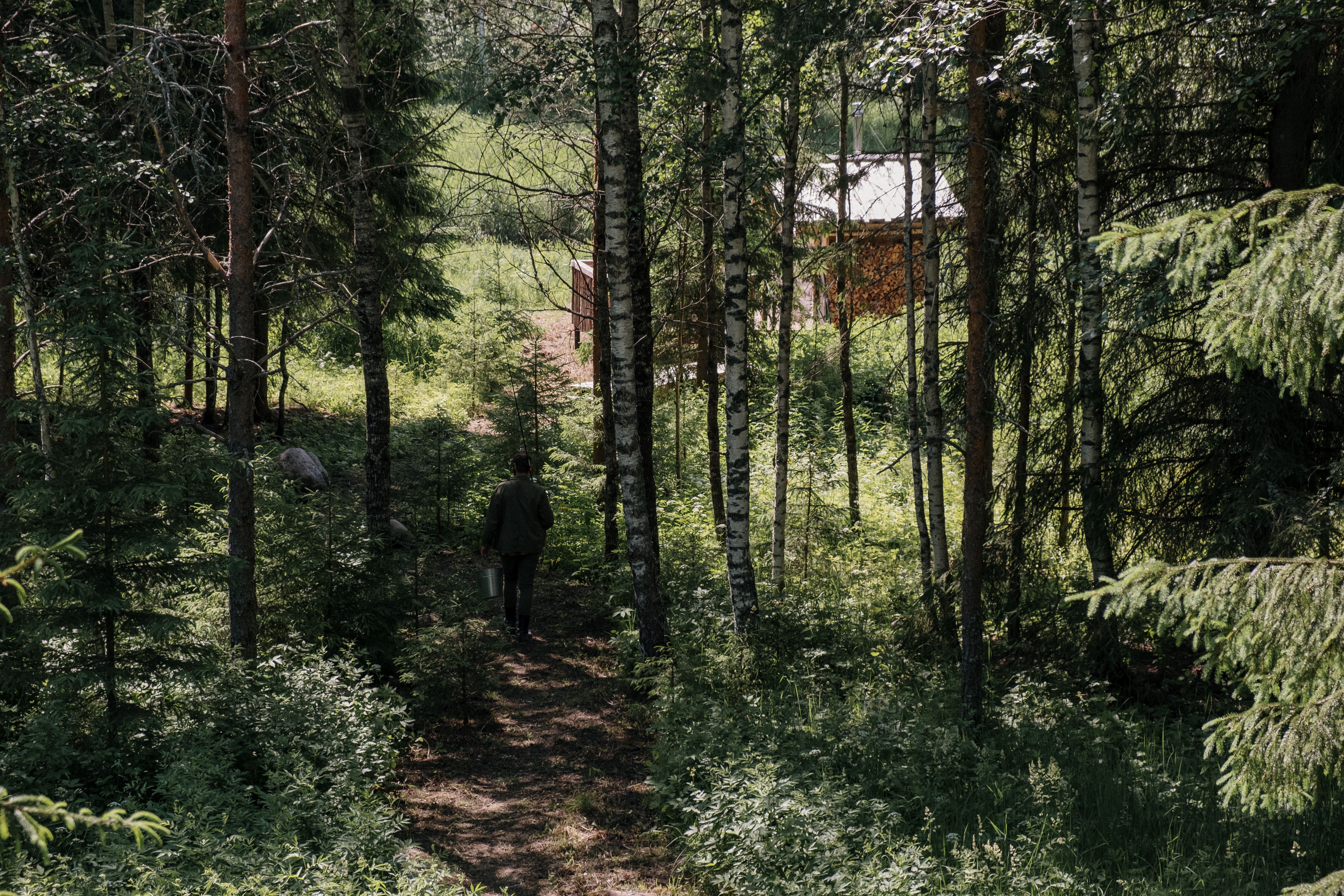Serene forest path with sunlight leading to a rustic cabin, evoking an off-grid private retreat